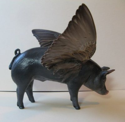 A Pig that can Fly